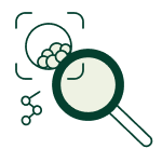 morphology-grading-support