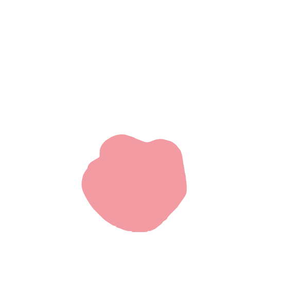 embryo-cell-layer-icm