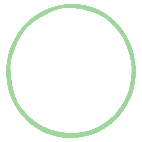 embryo-cell-layer-zp