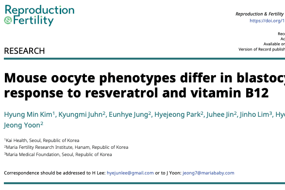AI Analysis of 2,061 Mouse Oocytes Finds Culture Responses Vary by Phenotype